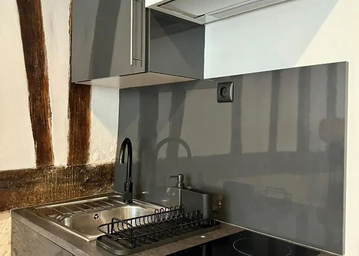 Cosy Et Charme - 347 * רואן